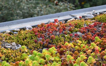 the cost of St Augustines green roof installation