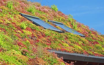 St Augustines living roof systems